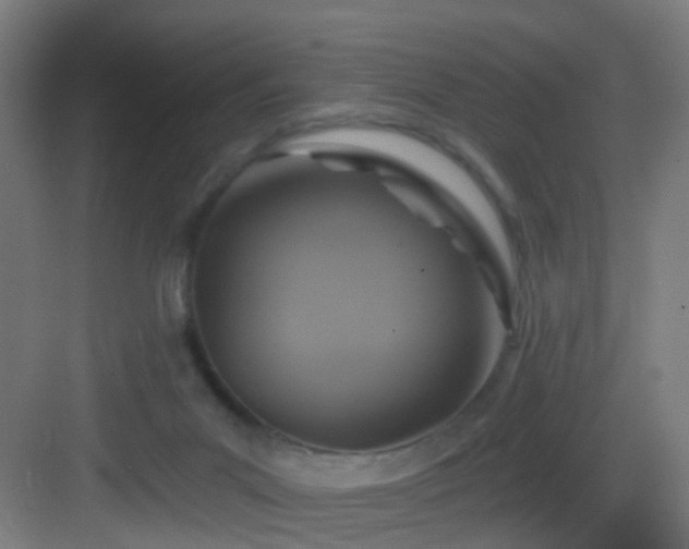 X0000083070023200702091542