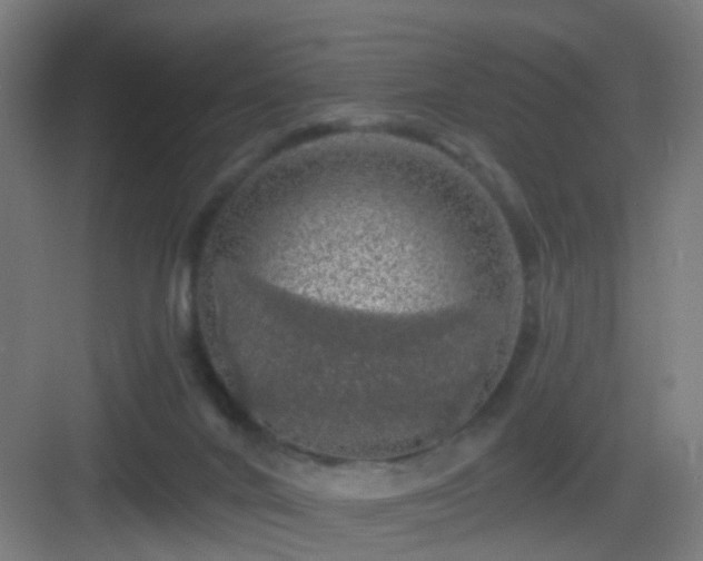 X0000083070024200702091542