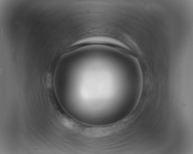 X0000083070025200702091542
