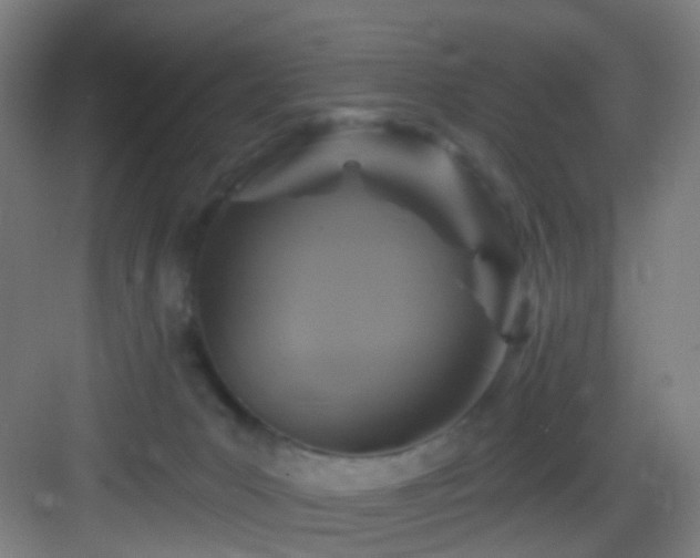 X0000083070031200702091542