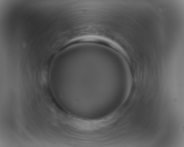 X0000083070035200702091542
