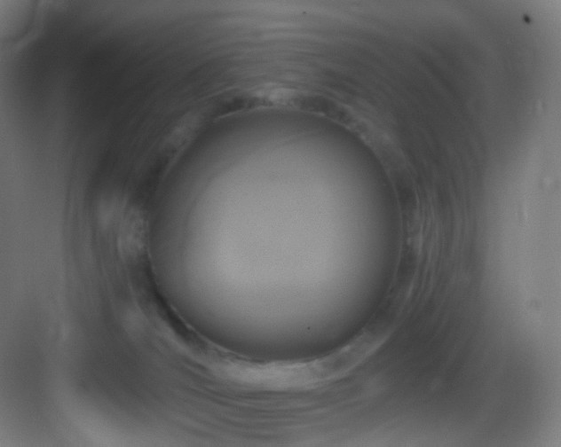 X0000083070036200702091542