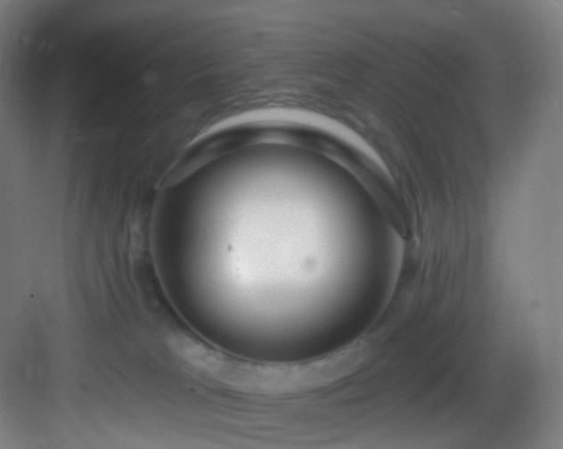 X0000083070037200702091542
