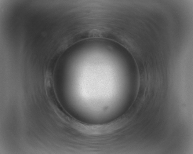 X0000083070038200702091542