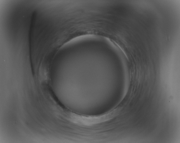 X0000083070039200702091542