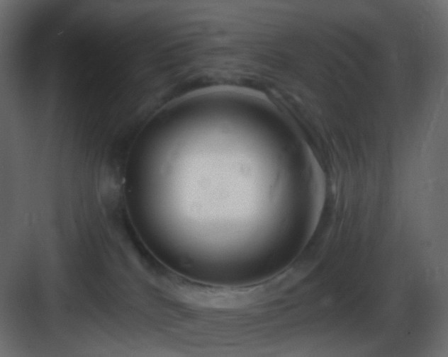 X0000083070040200702091542
