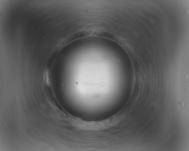 X0000083070042200702091542