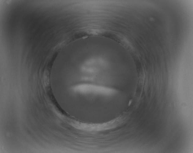 X0000083070043200702091542