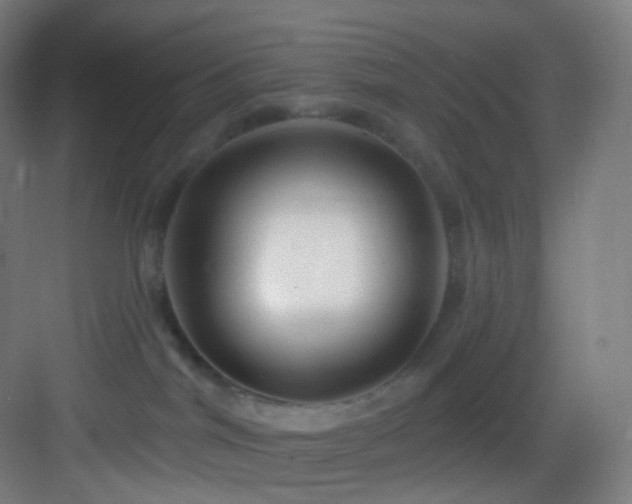 X0000083070044200702091542