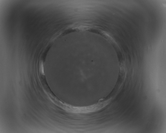X0000083070046200702091542