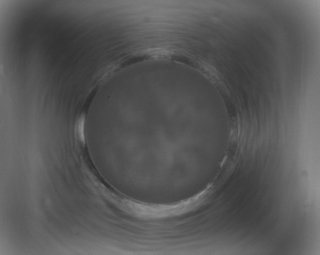 X0000083070047200702091541