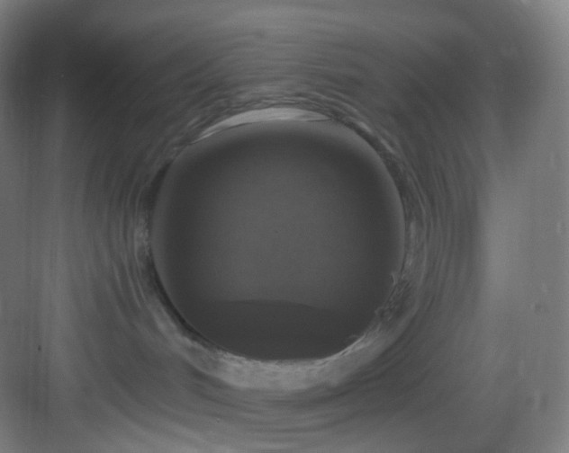 X0000083070048200702091541