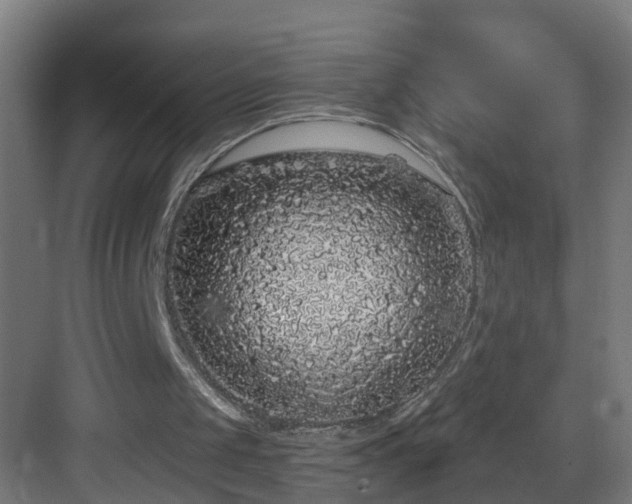 X0000083070049200702091541
