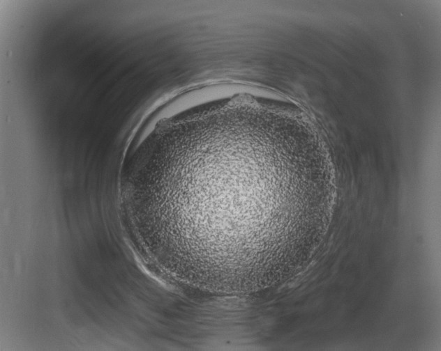 X0000083070050200702091541