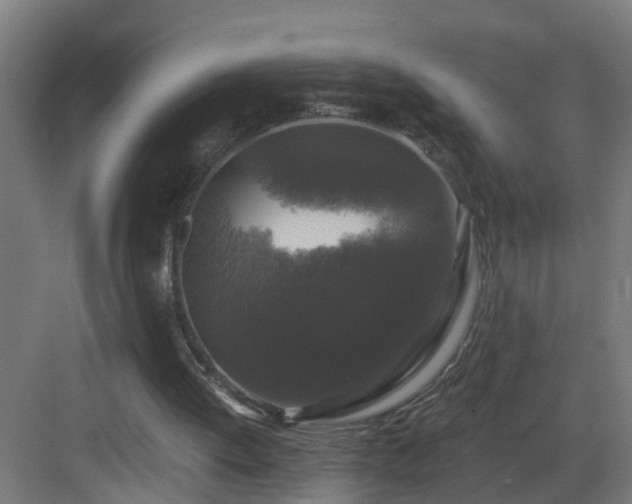 X0000083070052200702091541