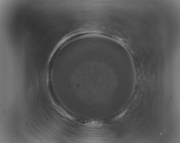 X0000083070056200702091541