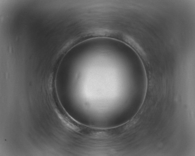X0000083070058200702091541