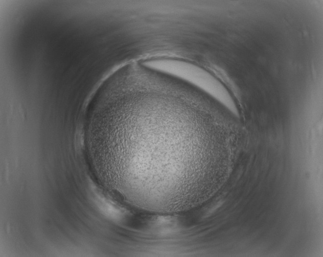 X0000083070060200702091541