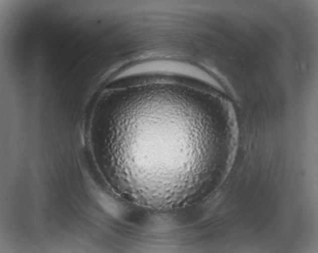 X0000083070062200702091541