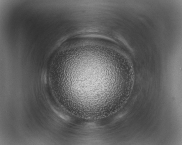 X0000083070068200702091541