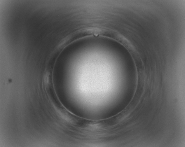 X0000083070071200702091541