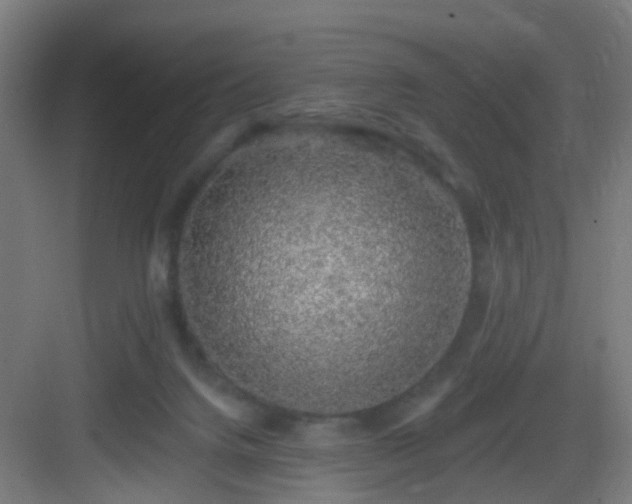 X0000083070072200702091541