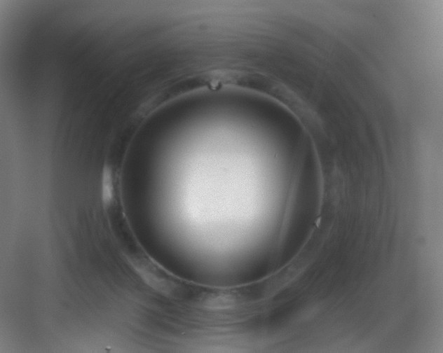 X0000083070075200702091541