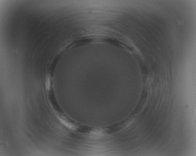 X0000083070076200702091541