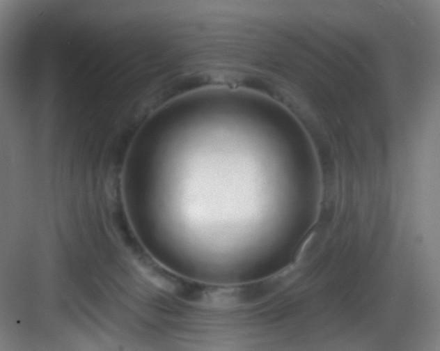 X0000083070078200702091541