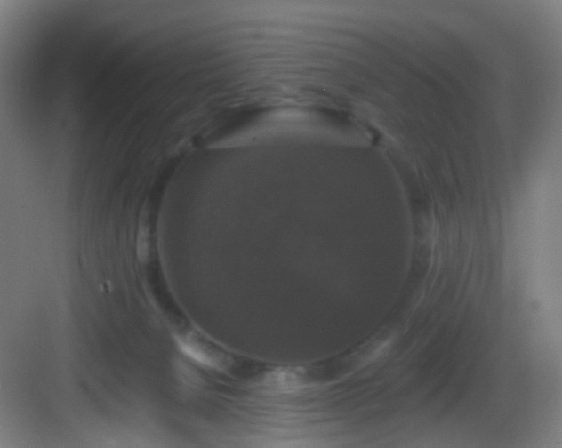 X0000083070080200702091541