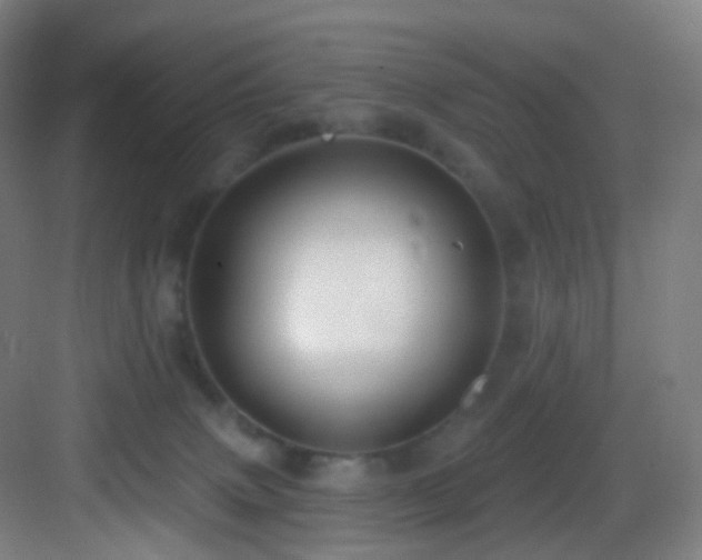 X0000083070083200702091541