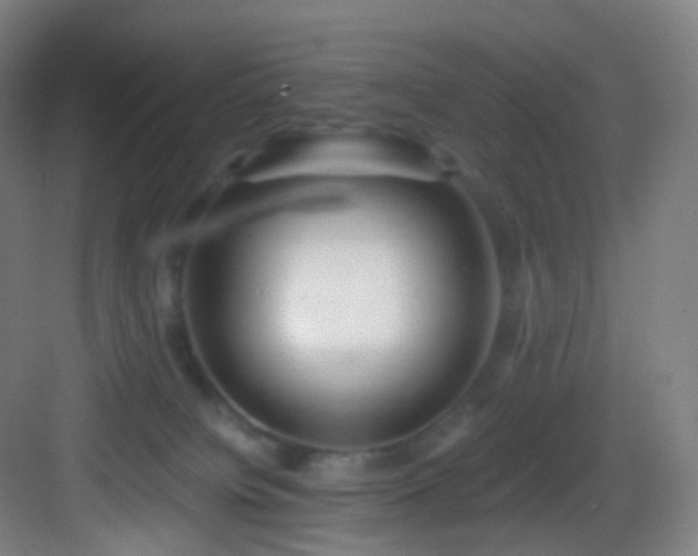 X0000083070084200702091541