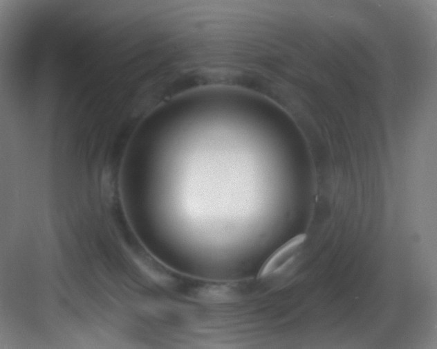 X0000083070086200702091541