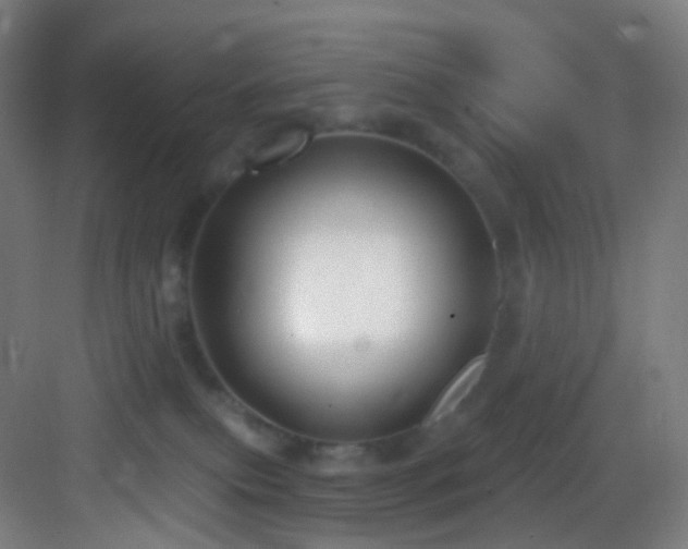 X0000083070087200702091541