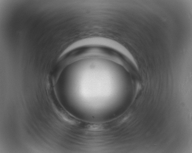 X0000083070088200702091541