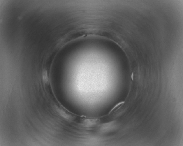 X0000083070089200702091541