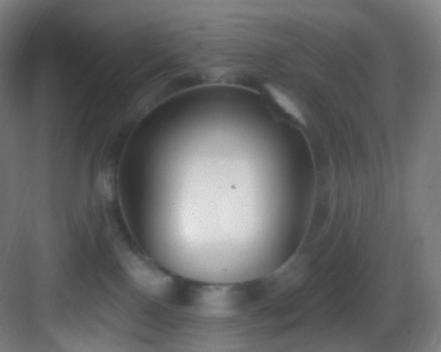 X0000083070090200702091541