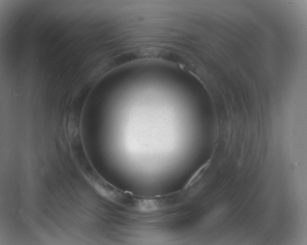 X0000083070091200702091541