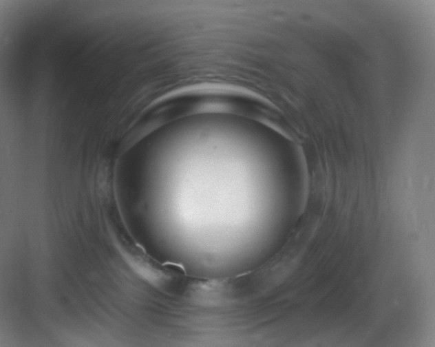 X0000083070092200702091541