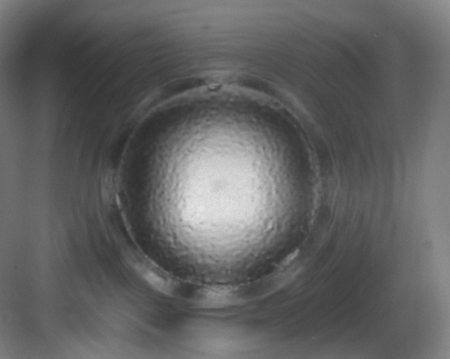 X0000083070093200702091541