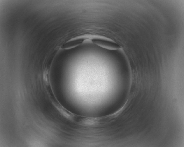 X0000083070094200702091541
