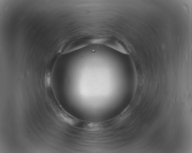X0000083070095200702091541