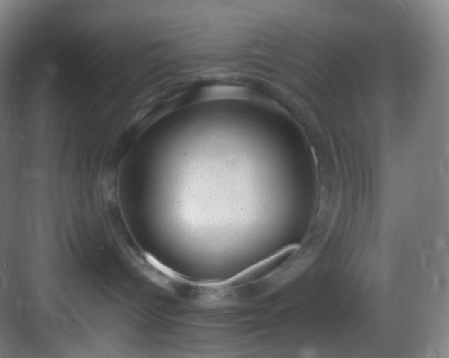 X0000083070096200702091541