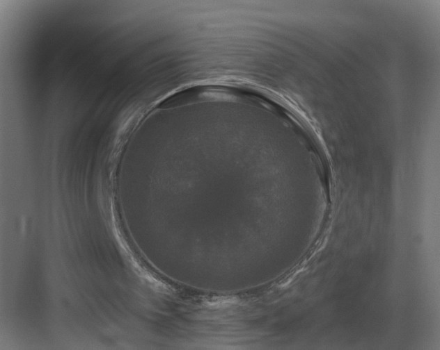 X0000083070097200702091541