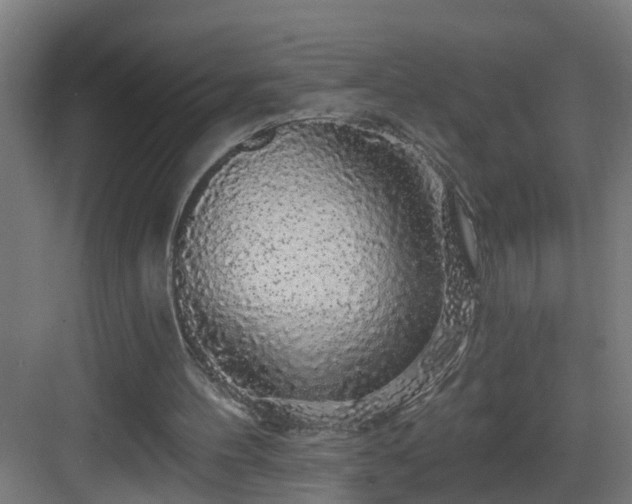 X0000083070100200702091541