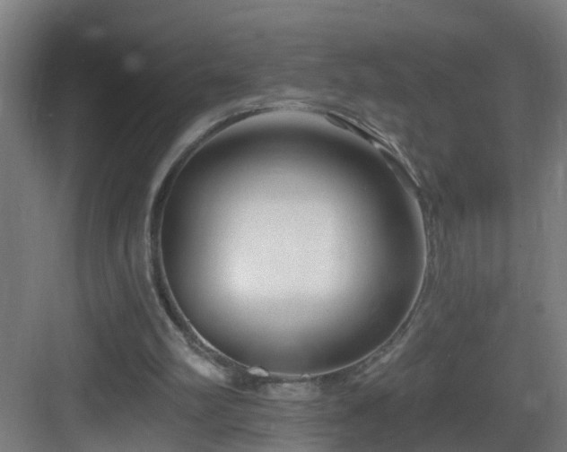 X0000083070102200702091541