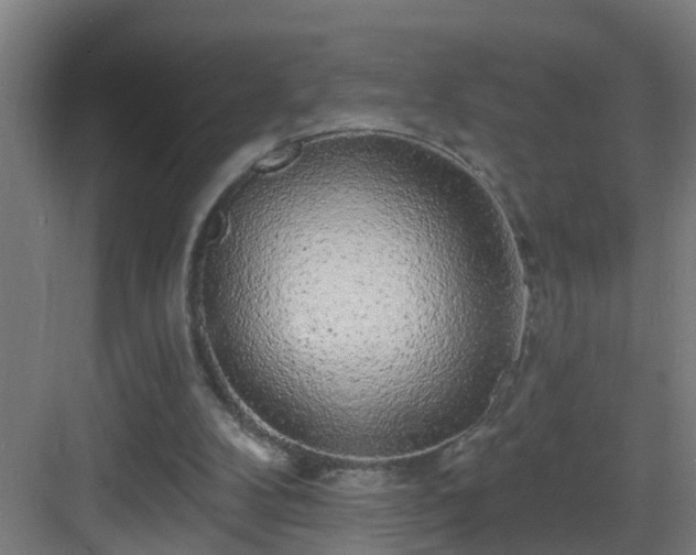 X0000083070104200702091541