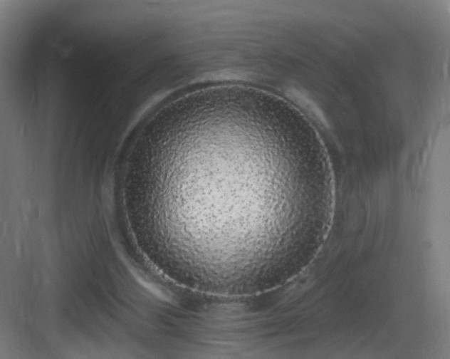 X0000083070108200702091540