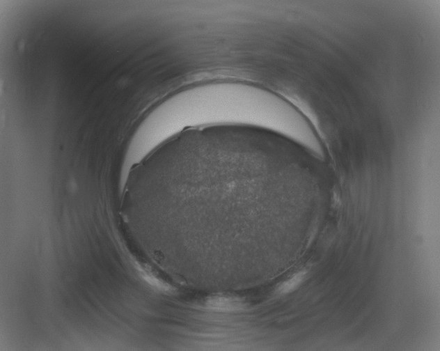 X0000083070109200702091540