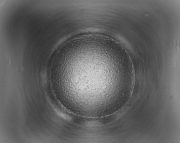 X0000083070112200702091540